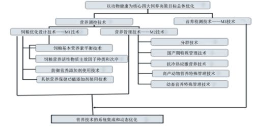 構(gòu)建動物健康營養(yǎng)體系 學(xué)科戰(zhàn)略突破與應(yīng)用新篇章